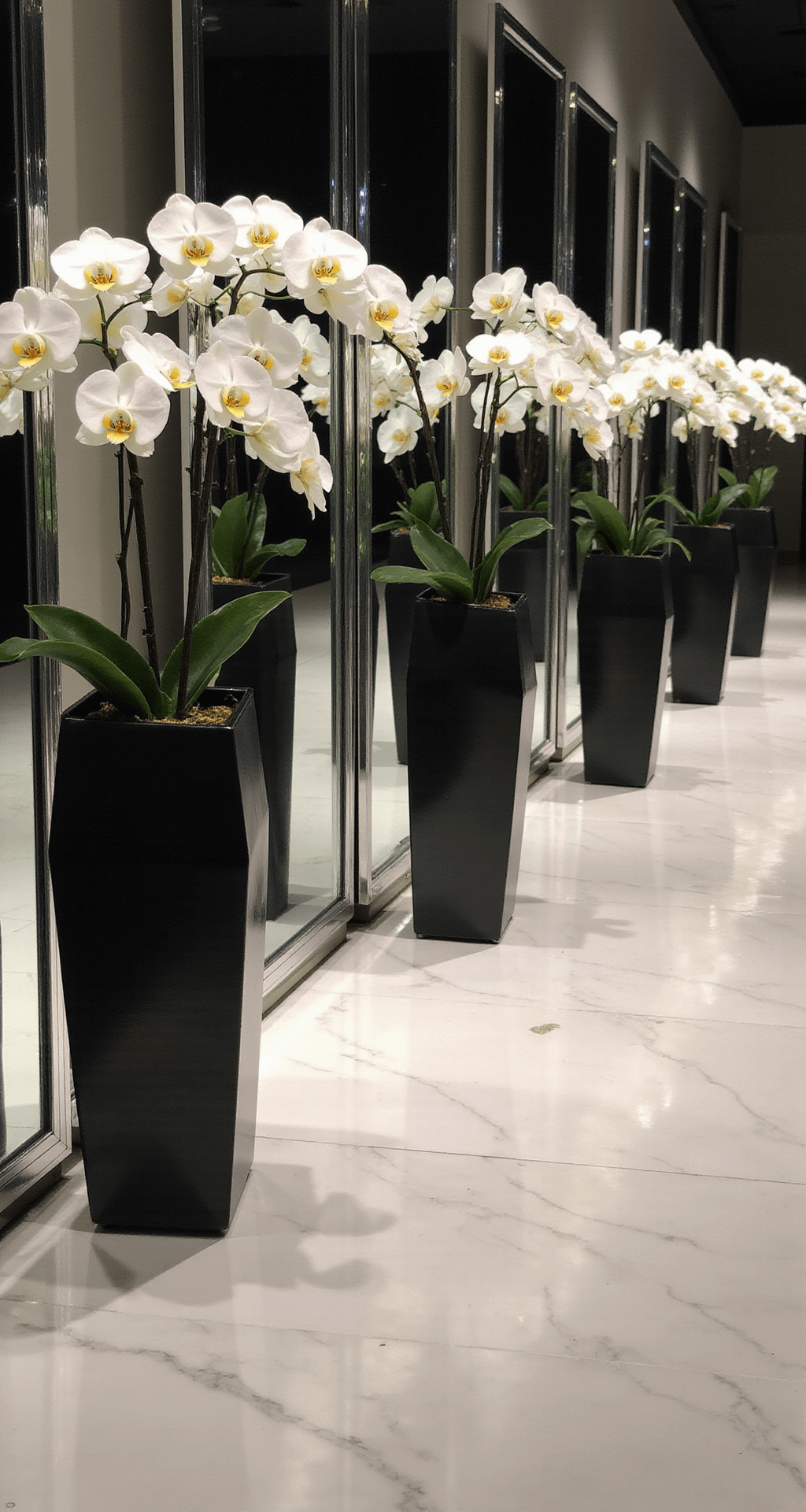 Intimate close-up of modern minimalist aisle arrangement with white phalaenopsis orchids in black geometric vessels, complemented by chrome pedestals and accent lighting on a white marble floor, with reflections in floor-length mirrors.