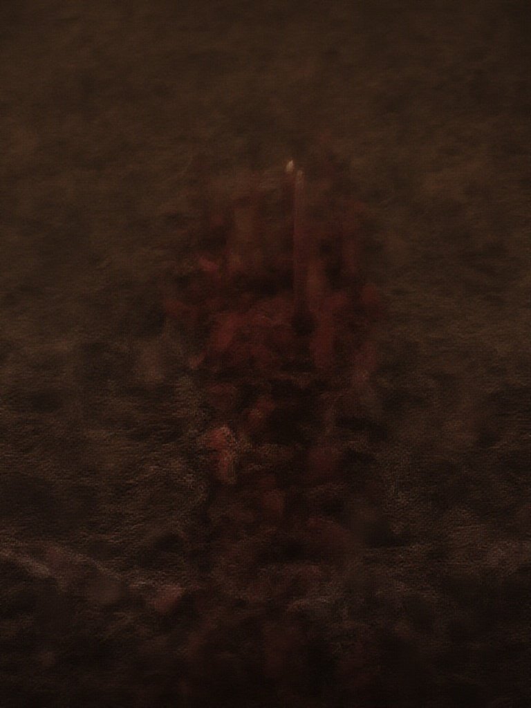 Dark Romantic Wedding: 27 Moody Ideas for Couples Who Hate Basic Weddings Dark romantic wedding tablescape with burgundy napkins and candlelight