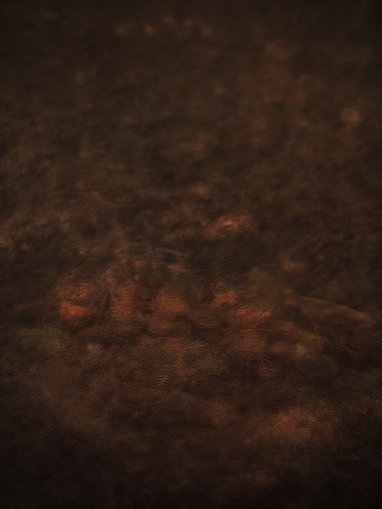 Dark Romantic Wedding: 27 Moody Ideas for Couples Who Hate Basic Weddings Dark romantic late night wedding charcuterie board