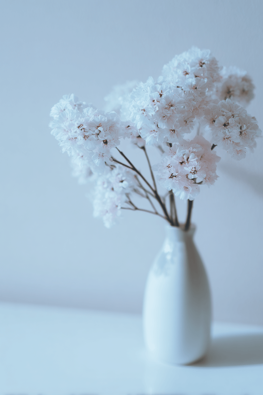 27 White Flower Bouquets That Define Elegance and Grace